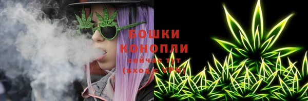 молекула духа Алексеевка