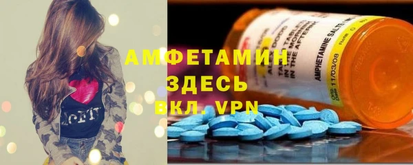 сатива Алзамай