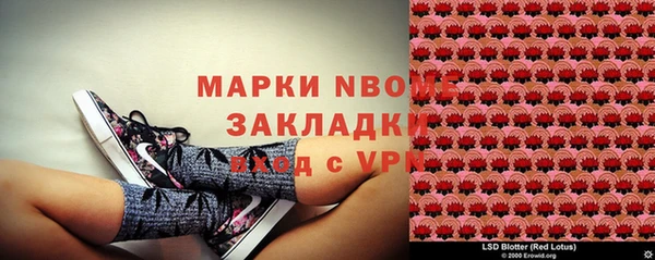 сатива Алзамай